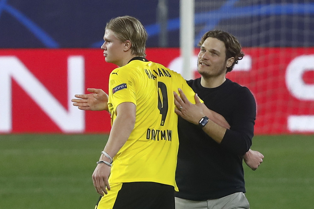 整个城市都 整个城市都